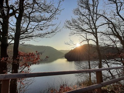 Holiday house VivaNatura Eifelferienhaus - Environment photo 21