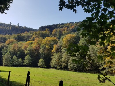 Holiday house VivaNatura Eifelferienhaus - Environment photo 24