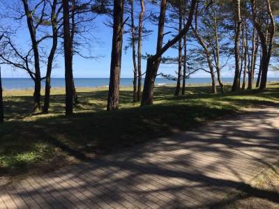 Holiday apartment Kolbinger - Outdoor photo 12