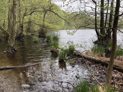 Holiday apartment Kolbinger - Environment photo 37