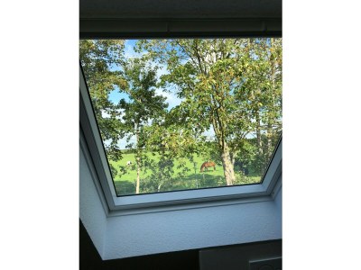 Holiday house Holiday home Maja am See - Features photo 26