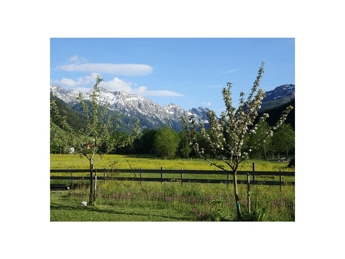 Holiday apartment Höller -große Ferienwohnung- - Outdoor photo 2