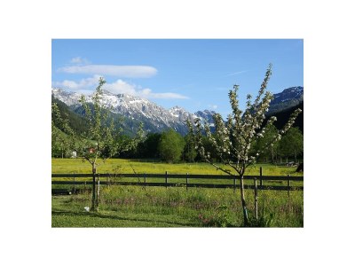 Holiday apartment Höller -große Ferienwohnung- - Outdoor photo 2