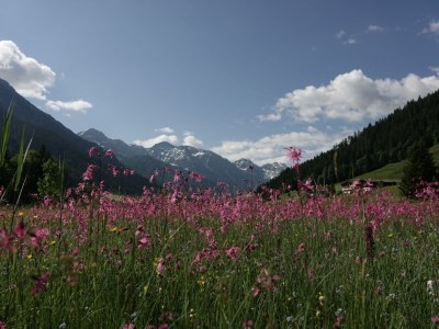 Holiday apartment Höller -große Ferienwohnung- - Outdoor photo 6