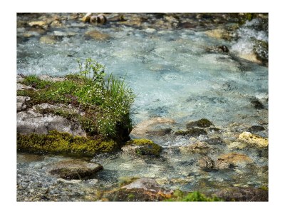 Holiday apartment Höller -große Ferienwohnung- - Outdoor photo 7