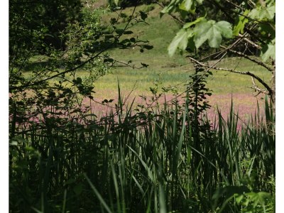 Holiday apartment Höller -große Ferienwohnung- - Outdoor photo 8