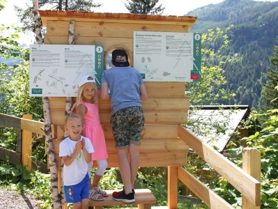 Holiday apartment Höller -große Ferienwohnung- - Outdoor photo 9