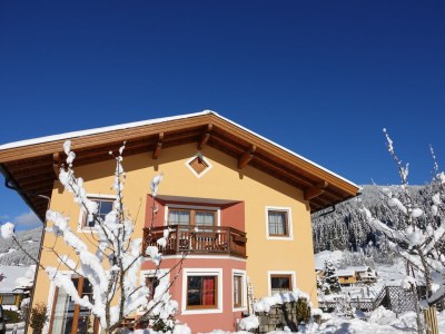 Holiday apartment Höller -große Ferienwohnung- - Outdoor photo 10