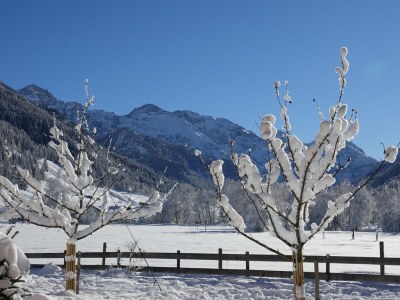 Holiday apartment Höller -große Ferienwohnung- - Outdoor photo 13