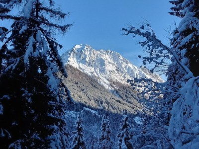 Holiday apartment Höller -große Ferienwohnung- - Outdoor photo 14