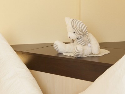 Holiday apartment Höller -große Ferienwohnung- - Features photo 26