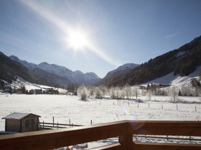 Holiday apartment Höller -große Ferienwohnung- - Environment photo 29