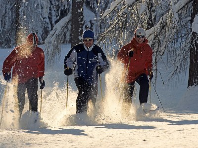 Holiday apartment Höller -große Ferienwohnung- - Environment photo 31