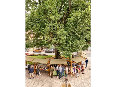 Holiday apartment Höller -große Ferienwohnung- - Environment photo 37