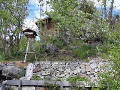 Holiday apartment Chalet Ravenstein - Outdoor photo 8