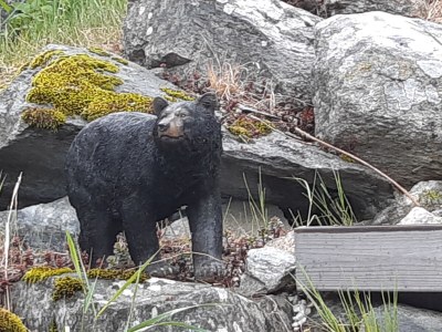 Holiday apartment Chalet Ravenstein - Outdoor photo 10