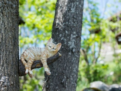 Holiday apartment Chalet Ravenstein - Outdoor photo 11