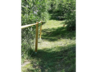 Holiday apartment Chalet Ravenstein - Outdoor photo 16