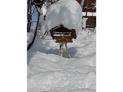 Holiday apartment Chalet Ravenstein - Outdoor photo 17