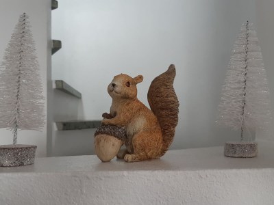 Holiday apartment Chalet Ravenstein - Features photo 27