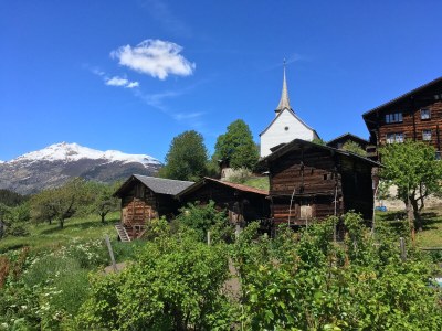 Holiday apartment Chalet Ravenstein - Environment photo 31