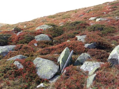 Holiday apartment Chalet Ravenstein - Environment photo 35