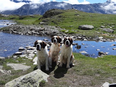 Holiday apartment Chalet Ravenstein - Environment photo 38