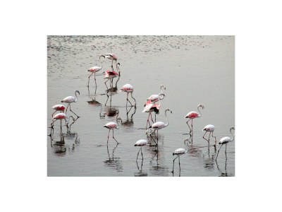 Holiday house Villetta al mare - Environment photo 12