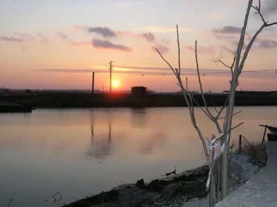 Holiday house Villetta al mare - Environment photo 17