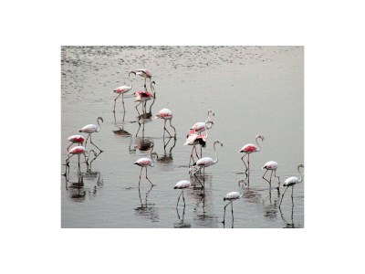 Apartment Residence Smeraldo27  rif 287 - Environment photo 9