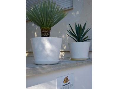 Holiday apartment Il Faro - Outdoor photo 5