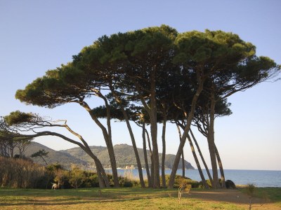 Holiday apartment Il Faro - Environment photo 17