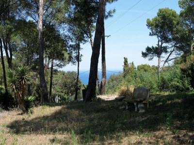 Holiday house Belvilla by OYO Casa Rey - Environment photo 37