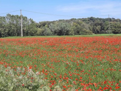 Holiday house Belvilla by OYO Casa Rey - Environment photo 39