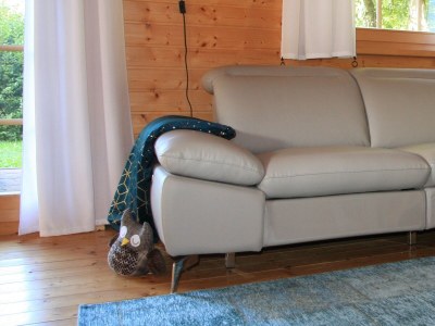 Holiday house Höllenberghütte mit Sauna - Features photo 17