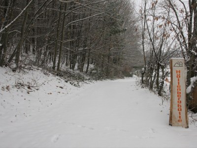 Holiday house Höllenberghütte mit Sauna - Environment photo 29