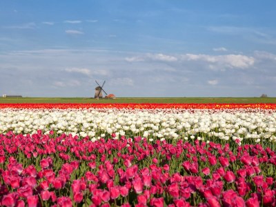 Holiday apartment Melanie - Environment photo 15