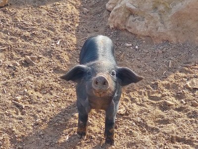 Holiday house Casa Vista Playa - Environment photo 39