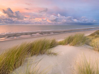 Holiday house Vorselaars 4 - Environment photo 30