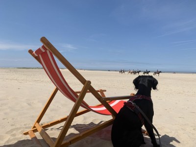 Holiday house Vorselaars 4 - Environment photo 35