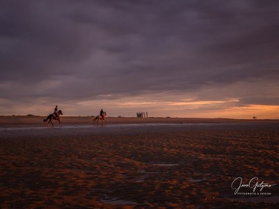 Holiday house Vorselaars 4 - Environment photo 37