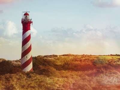 Holiday house Vorselaars 4 - Environment photo 38