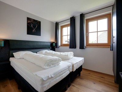 Holiday house Chalet in Mauterndorf nahe Skipisten - Features photo 13