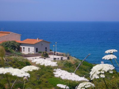 Holiday house Fisherhouse Domenic-on the cliffs, by the sea in Porto Alabe - Holiday house