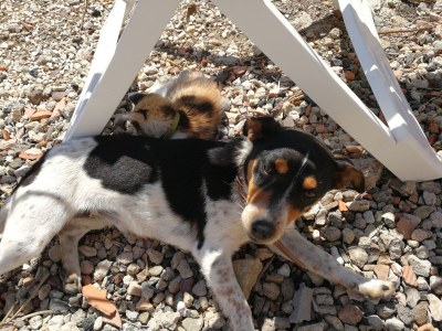 Holiday house Fisherhouse Domenic-on the cliffs, by the sea - Outdoor photo 12