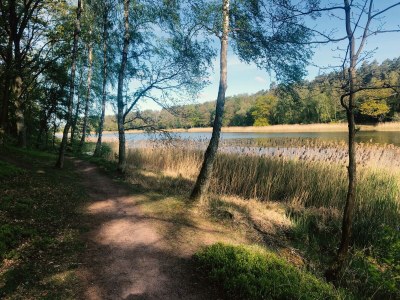 Villa Villa Sommerfeld - Environment photo 34