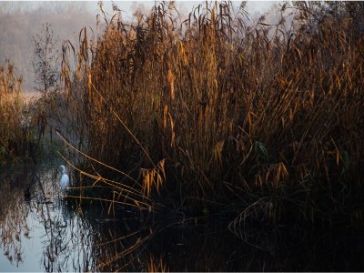 Villa Villa Sommerfeld - Environment photo 38