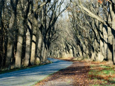 Villa Villa Sommerfeld - Environment photo 40