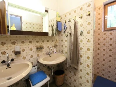 Cottage Holiday home in Innerkrems in Carinthia with sauna - Features photo 24