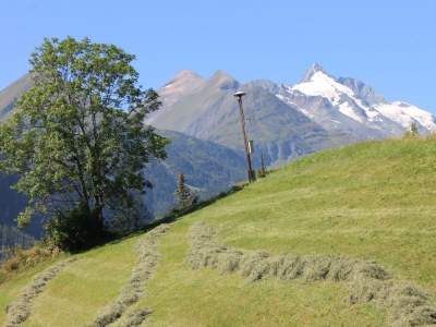 Holiday apartment AppHaus Sonne Ferienwohnung "Enzian" - Outdoor photo 7